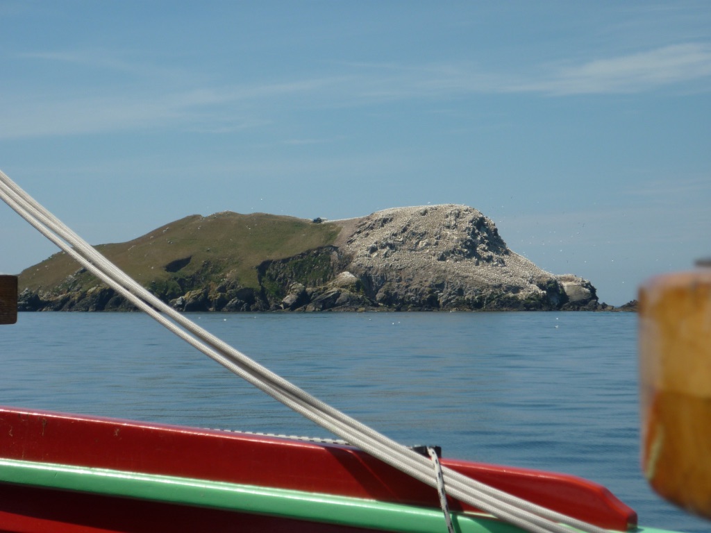 Image #5 Sept-îles Rouzic